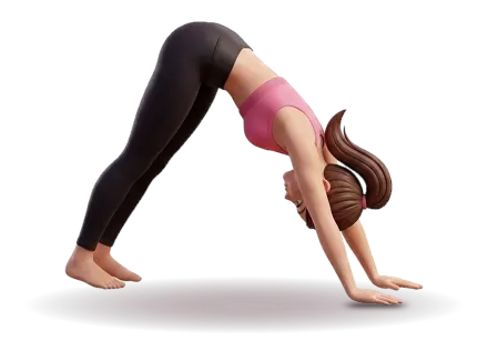 A figure seen from the side makes an upside down V, hands and feet on the mat and hips high.